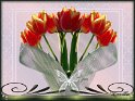 tulip2designMBBM012(1)