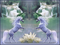 Beautiful-Horses_Mbbm1-juni2012