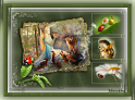 Natur_u37_12_1(2)